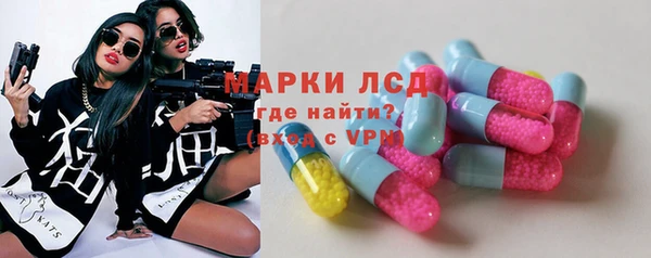 стаф Бородино