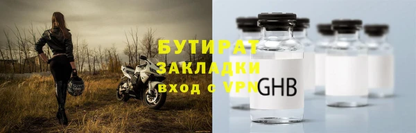 стаф Бородино