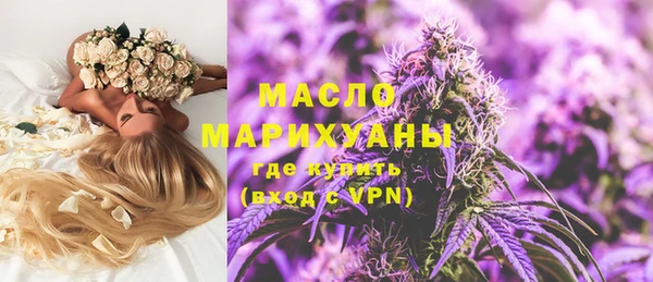 стаф Бородино