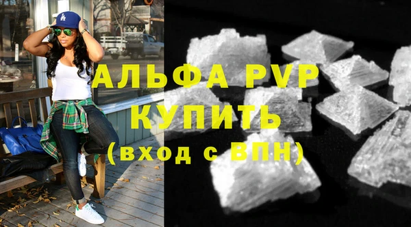 стаф Бородино