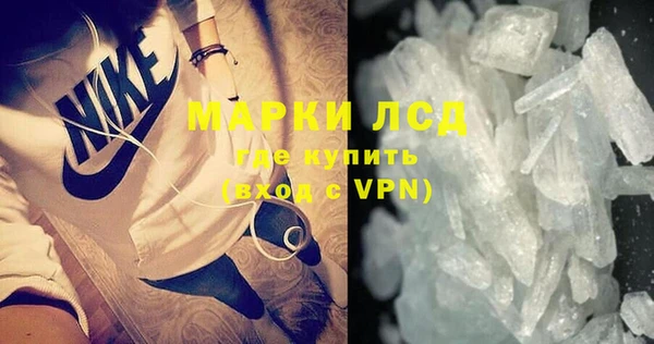 стаф Бородино